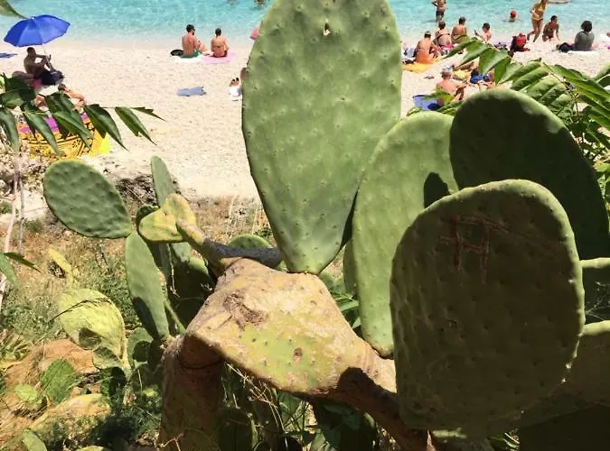 Bed & Breakfast 86 4*